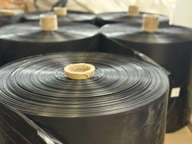 Finished rolls